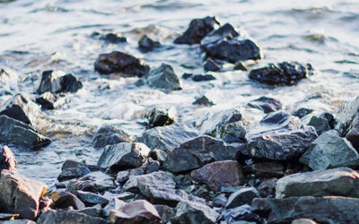 What I have learned about openness and letting go