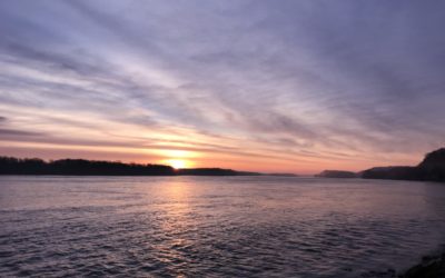 My new year intention