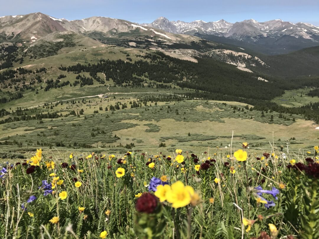 Skin cancer sacrifices: no shorts or tank tops