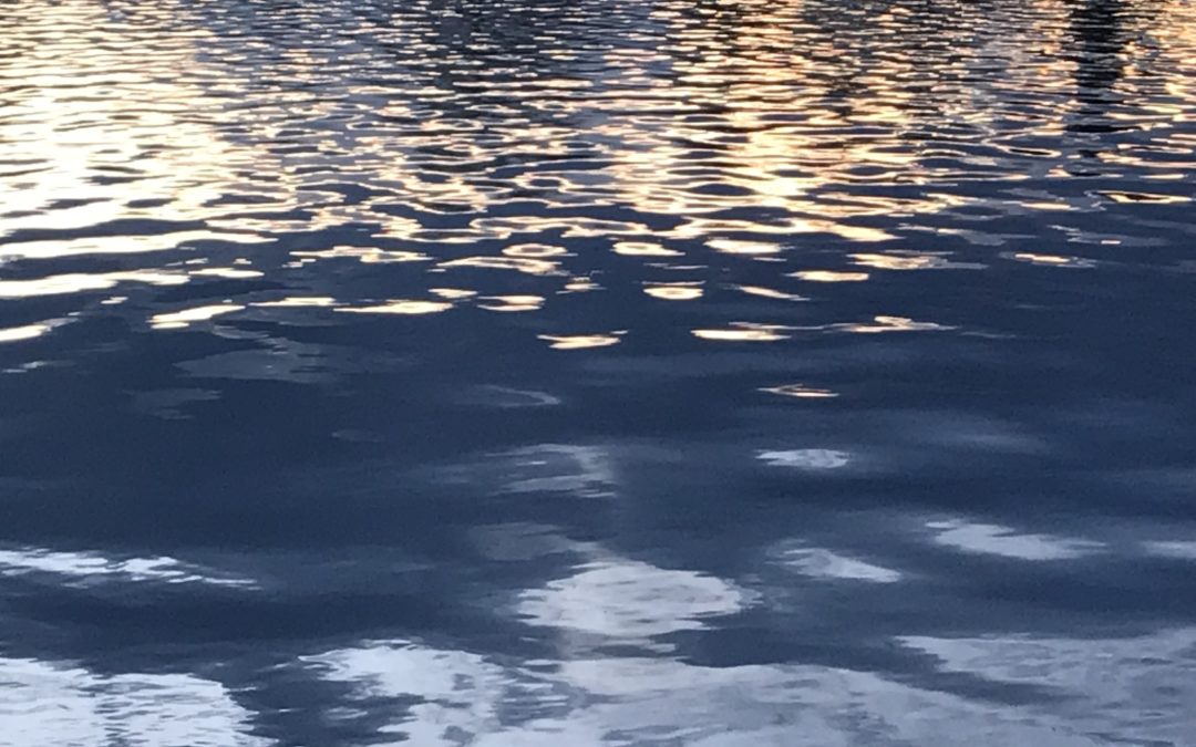 Learning to slow down: how a sabbatical prepared me for a pandemic