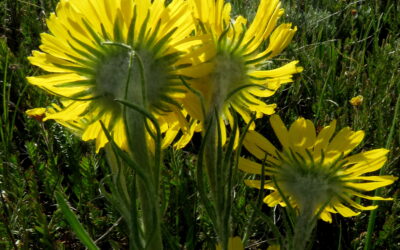 Three things to eliminate from your life to increase your happiness